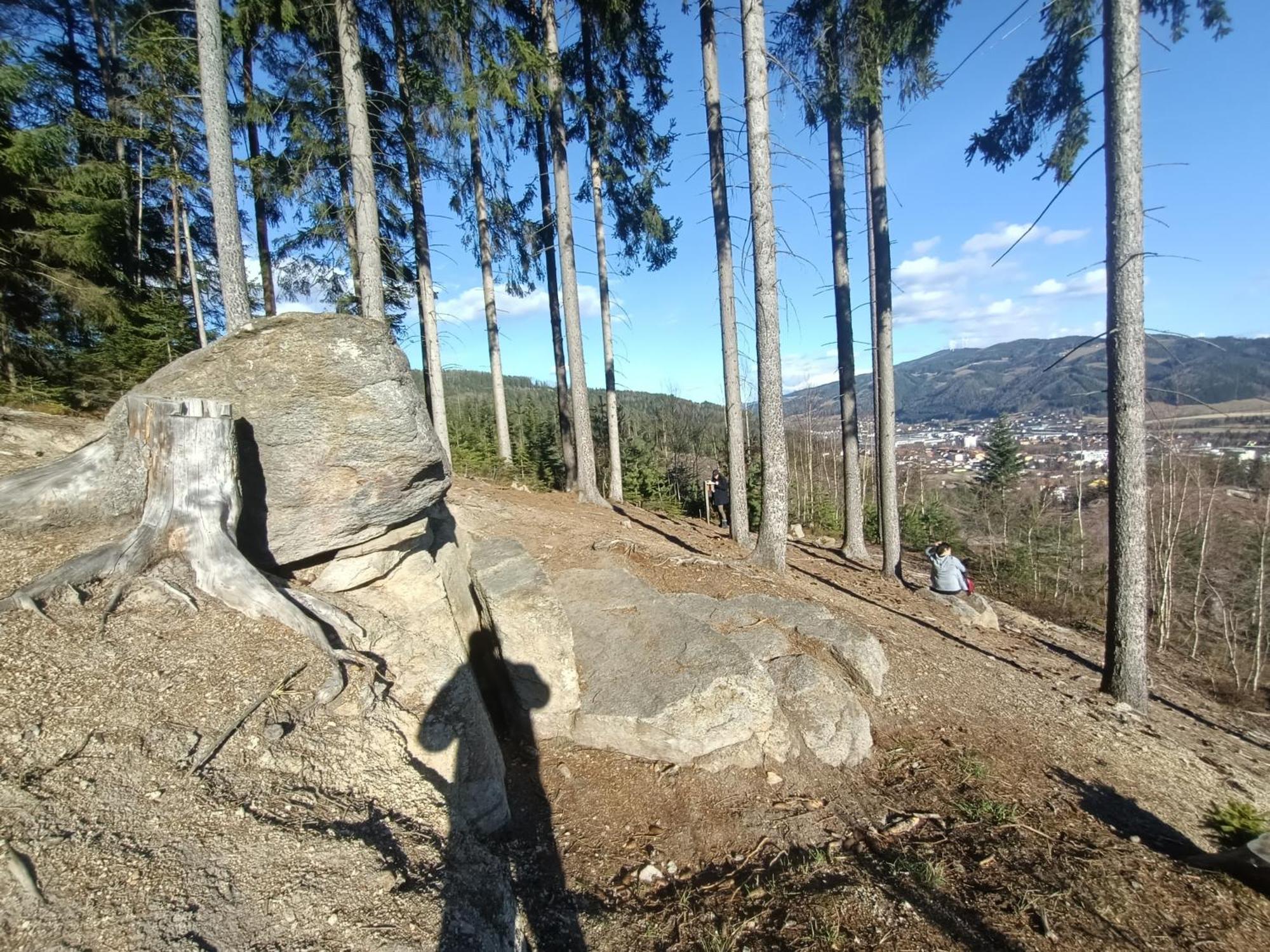 Herzogberghof Kindberg Exterior photo
